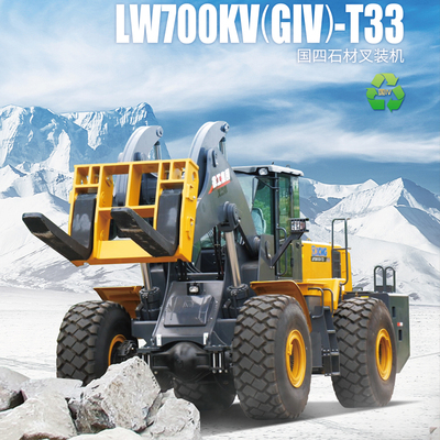 17-LW700KV(GIV)-T33挂画1